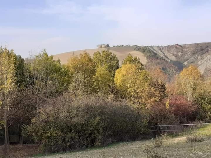 Appartement Ai Boschi à Ozzano dell'Emilia Extérieur photo