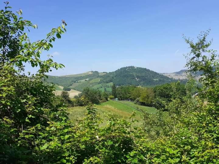 Appartement Ai Boschi à Ozzano dell'Emilia Extérieur photo