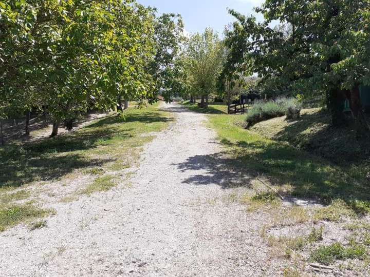 Appartement Ai Boschi à Ozzano dell'Emilia Extérieur photo